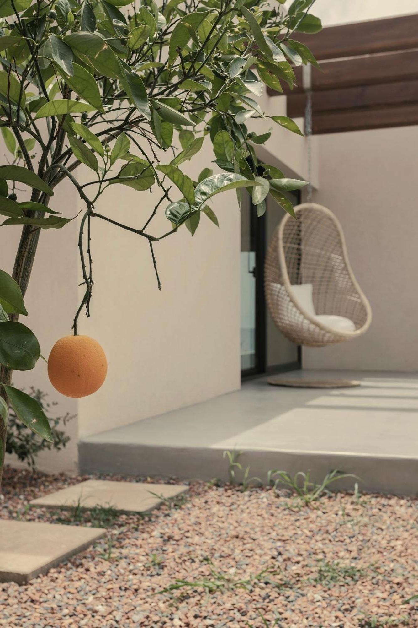 Ξενοδοχείο με διαμερίσματα Meraviglia Slow Living Πρέβεζα
